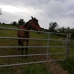 Отель типа 