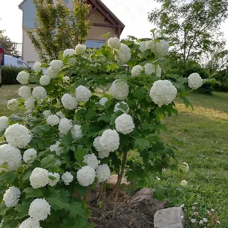 Et D'hotes Отель типа 