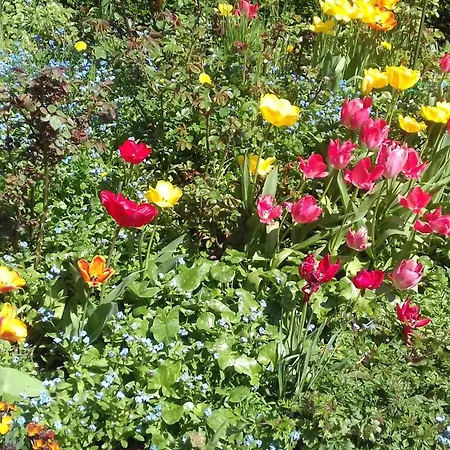 Et D'hotes Отель типа 