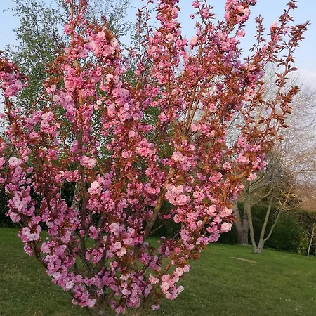 Et D'hotes Panzió 3*