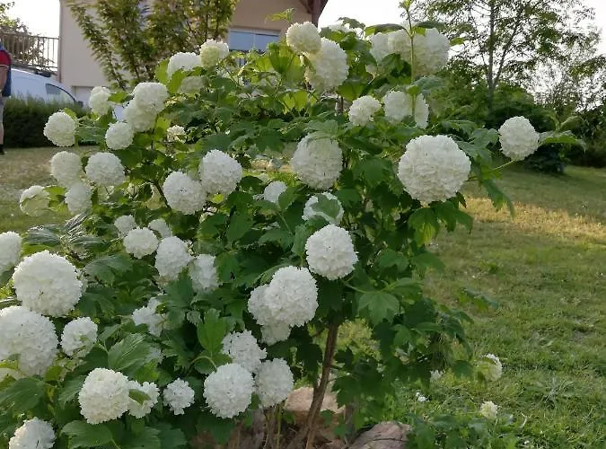 Gite Et Chambres D'Hotes Bed & Breakfast 3*