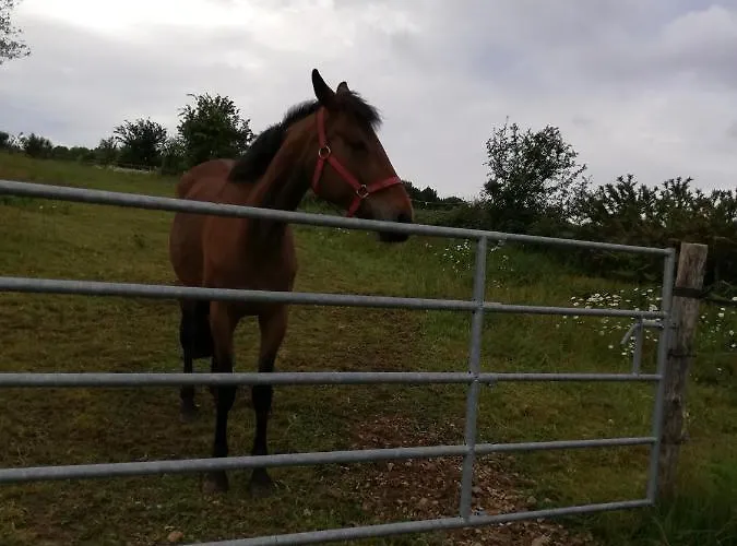 Bed & Breakfast Gite Et Chambres D'Hotes 3*