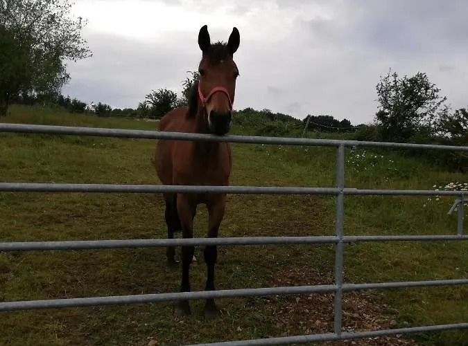 Gite Et Chambres D'Hotes 3* Gandelain