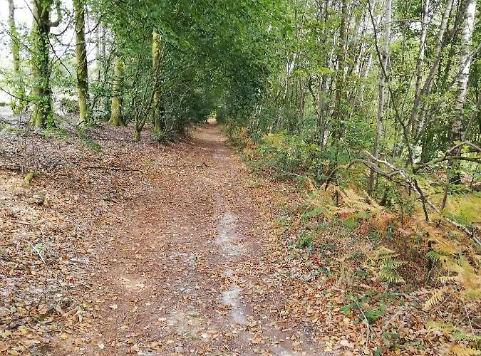 Gite Et Chambres D'Hotes Gandelain