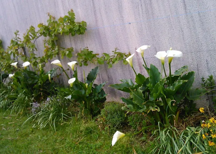 Gite Et Chambres D'Hotes