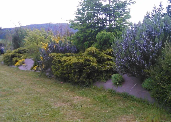 Gite Et Chambres D'Hotes Bed & Breakfast Gandelain