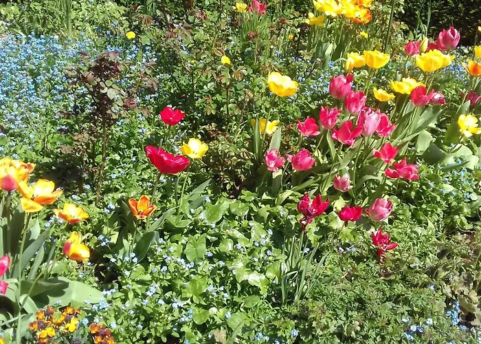 Gite Et Chambres D'Hotes Bed & Breakfast