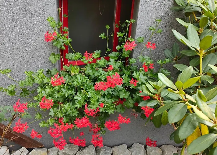 Bed & Breakfast Gite Et Chambres D'Hotes 3*