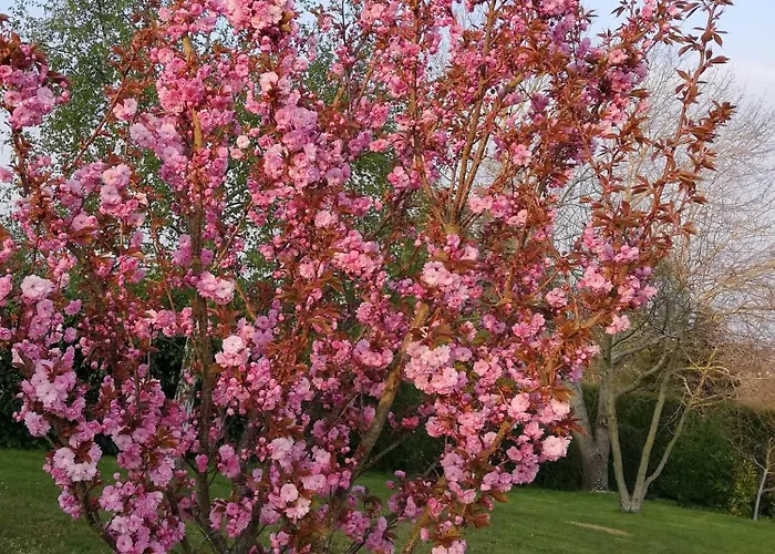 Gite Et Chambres D'Hotes Bed & Breakfast 3*