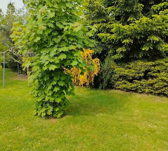 Gite Et Chambres D'Hotes Bed & Breakfast Gandelain