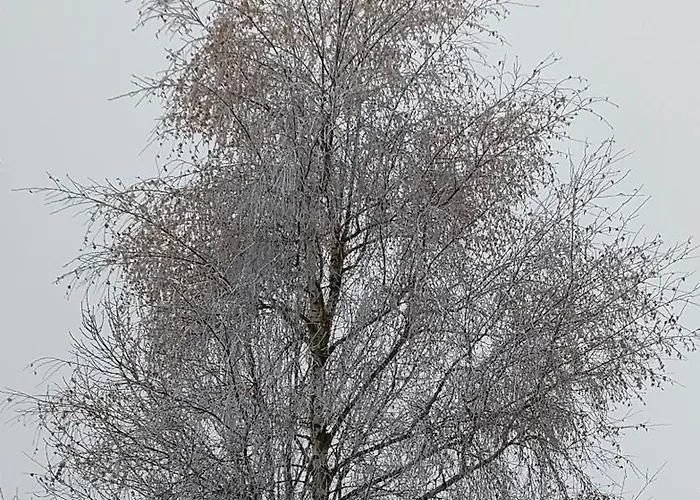 Bed & Breakfast Gite Et Chambres D'Hotes